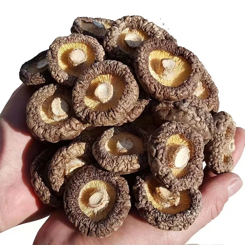 古田特产小香菇干货农家肉厚无根蘑菇椴木香菇食用菌无硫熏