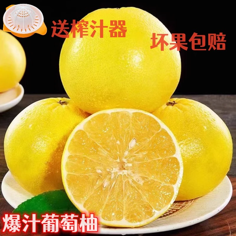 平和正宗黄金葡萄柚子榨汁甜蜜爆汁果肉饱满新鲜采摘产地直发包邮