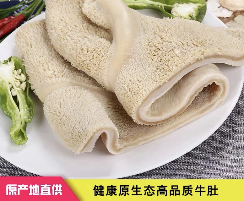 牛肚 黄牛肚子 牛胃 新鲜牛肚 8-9成熟牛肚 无调料 送卤料包冷冻