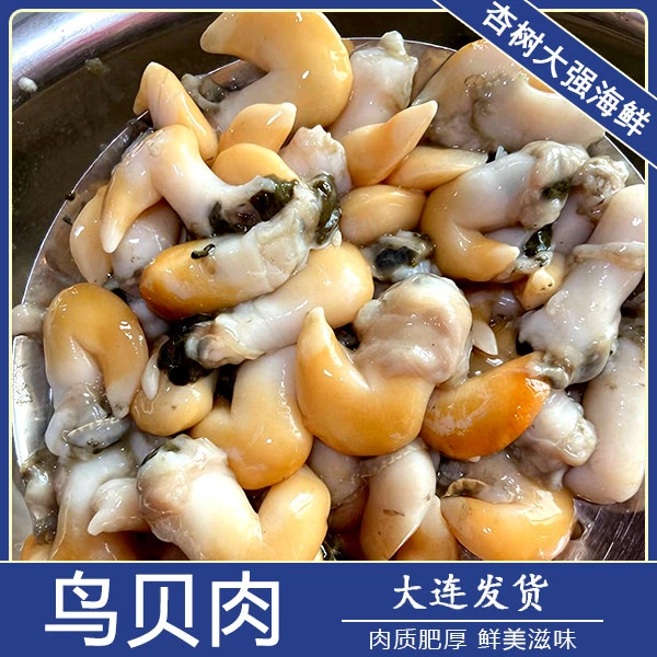 大连新鲜鸟贝肉冷冻发货。三斤一份（内脏没处理）