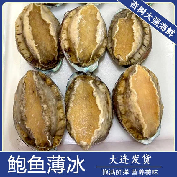 【冻】鲜活速冻 当地鲍鱼2斤-顺丰发货