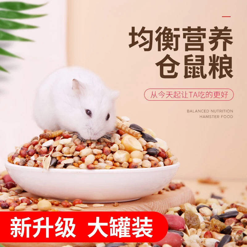 小仓鼠粮食主粮银狐三线布丁饲料食物五谷粮营养仓鼠饲料仓鼠食物