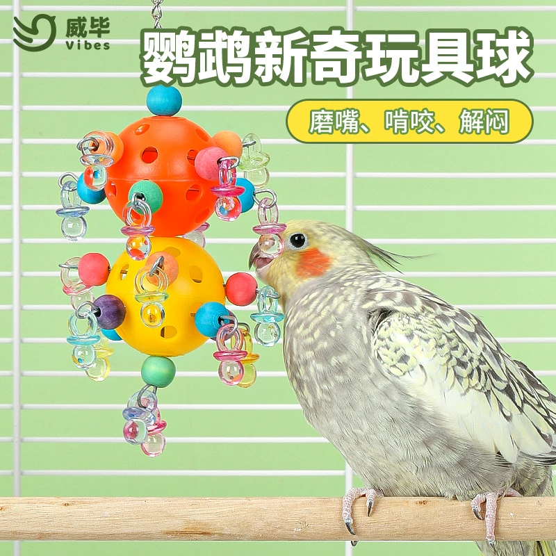 鹦鹉玩具球啃咬训练益智互动磨牙磨嘴磨爪解压虎皮玄凤牡丹鸟用品