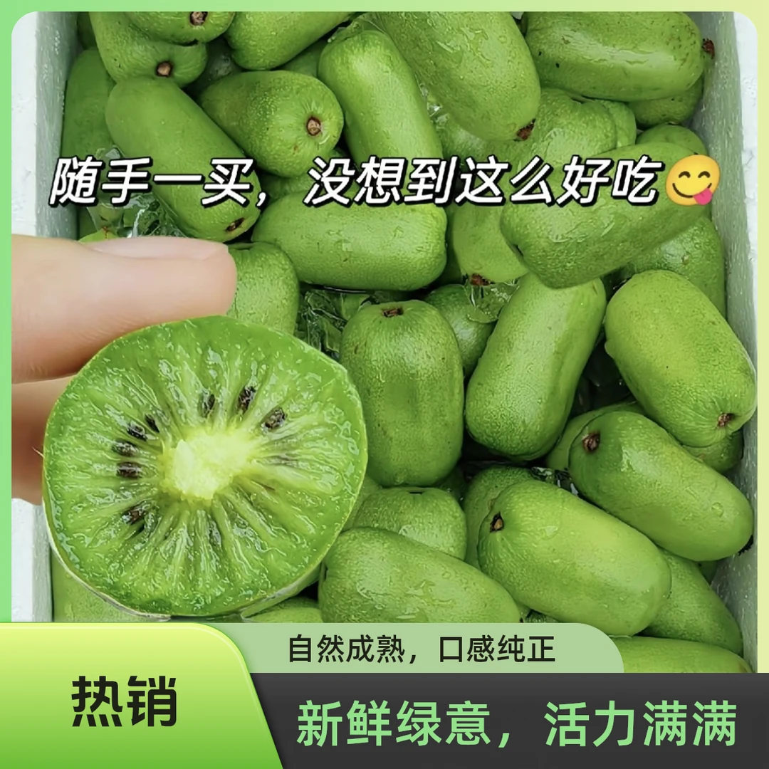 临朐绿叶谷软枣猕猴桃奇艺梅三斤礼盒装顺丰包邮