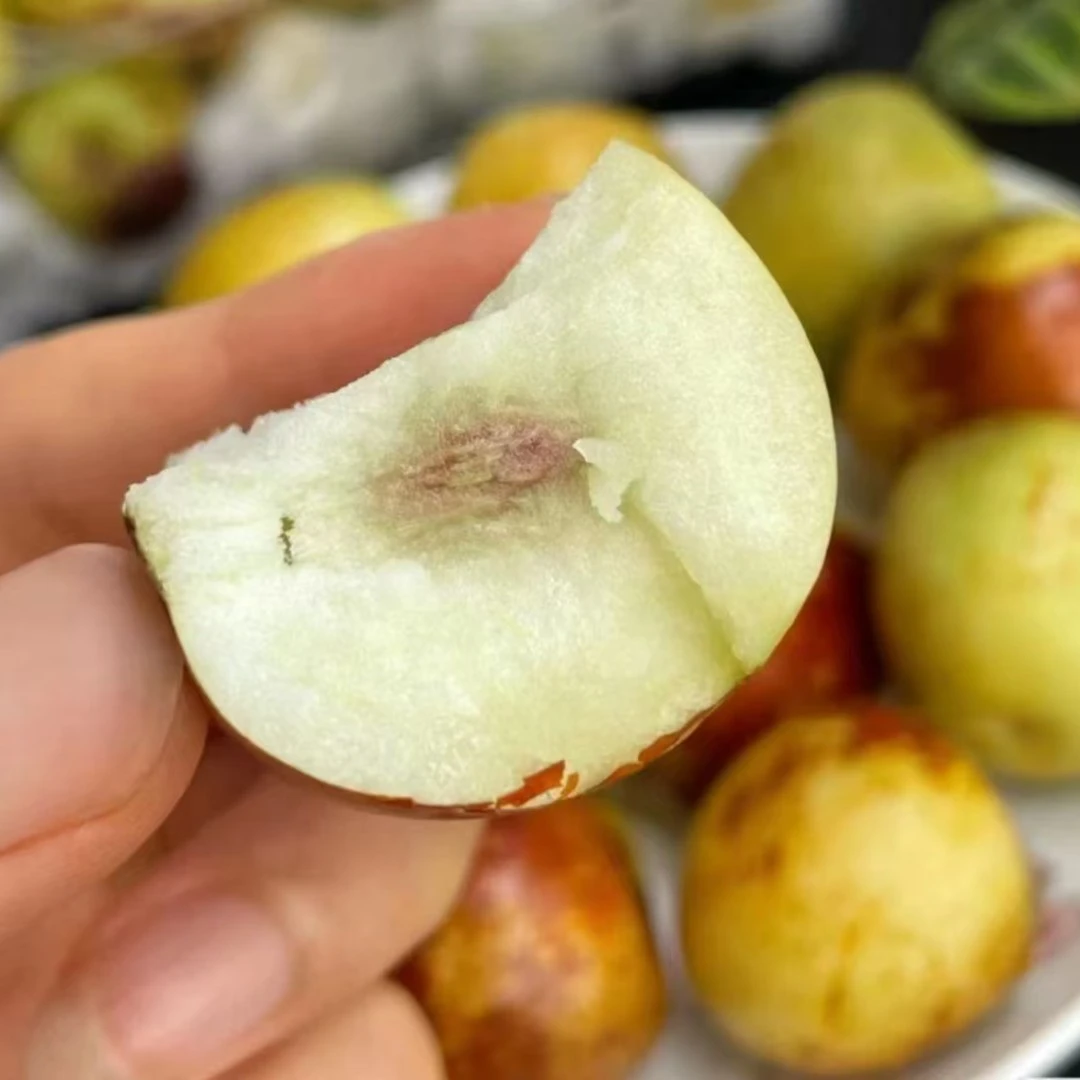 【配送到家】黄骅冬枣2斤，皮薄酥脆