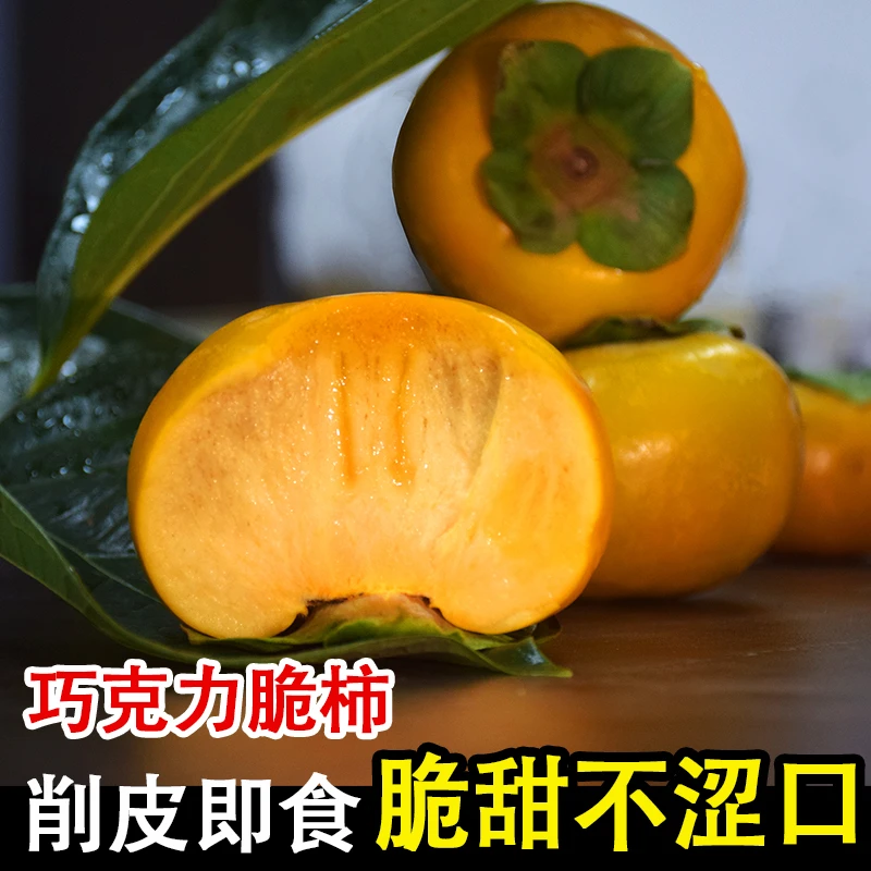 【幻城雨专属福利】正宗阳丰巧克力脆柿香甜脆甜柿冰糖心柿子新鲜