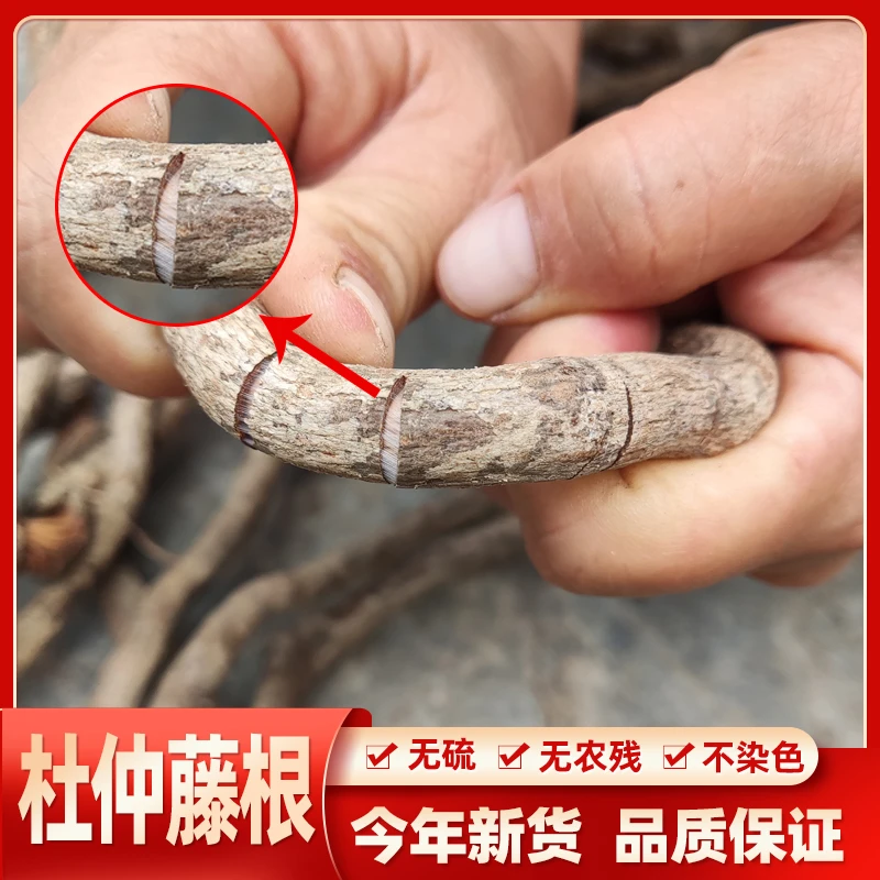 野生杜仲藤根 藤杜仲 白杜仲 九牛藤 白皮胶藤 新货500克叶菜