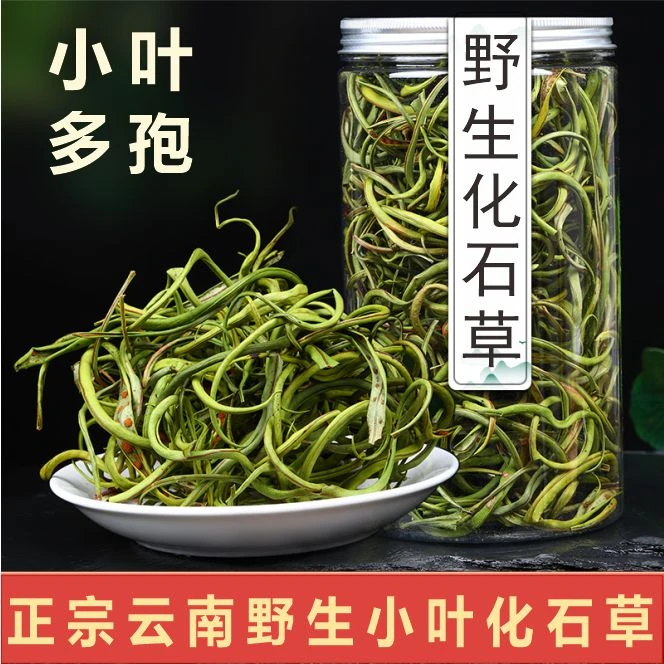 正宗云南小叶化石草野生多孢黄金草手工严选50g/罐装