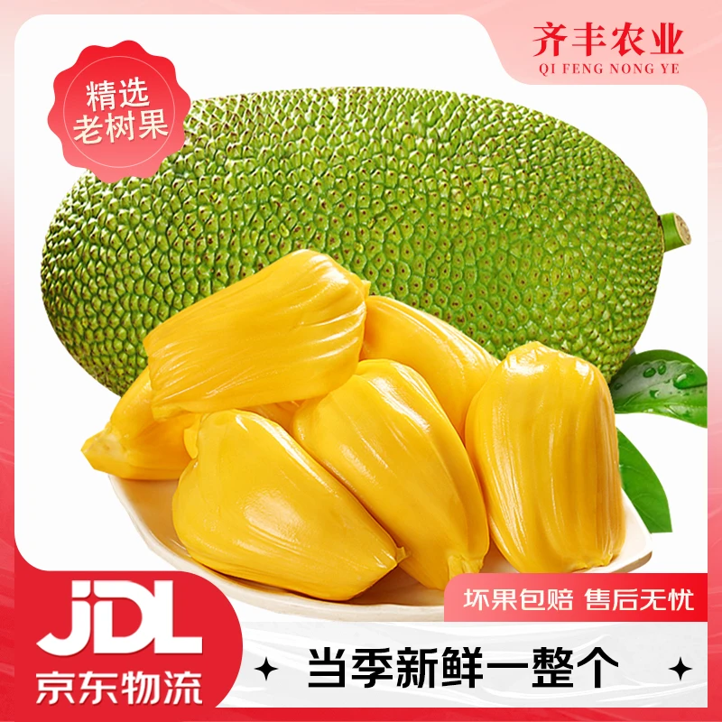 越南黄金菠萝蜜 整个发货当季新鲜水果干苞脆甜1