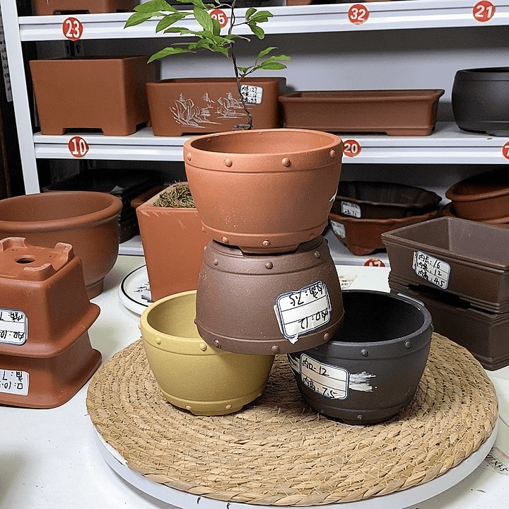 紫砂花盆我在这里