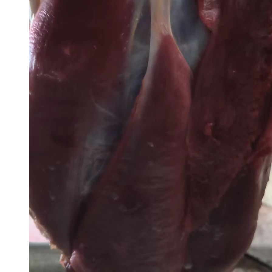 鸵鸟腱子肉3斤包装