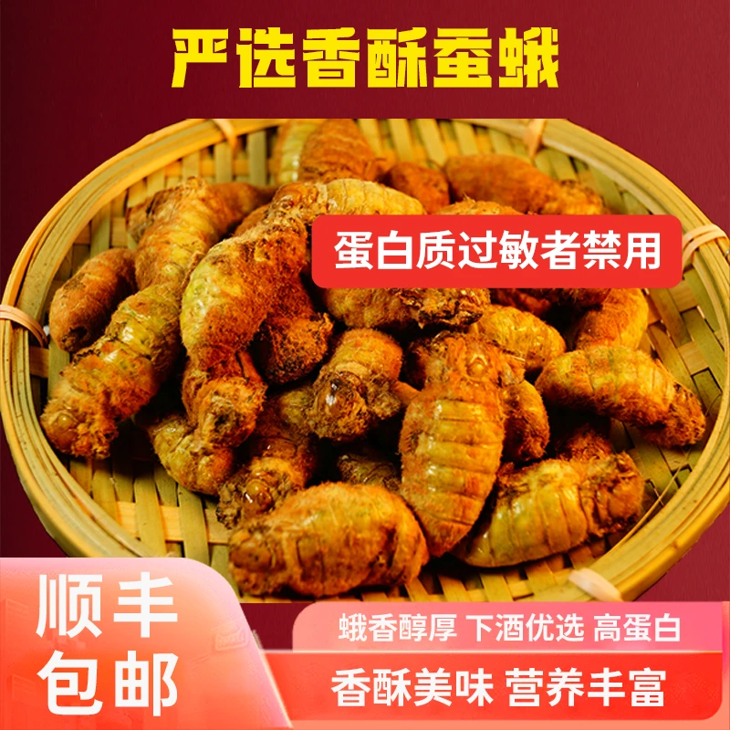 精品大个满籽母蚕蛾新鲜一斤90个左右
