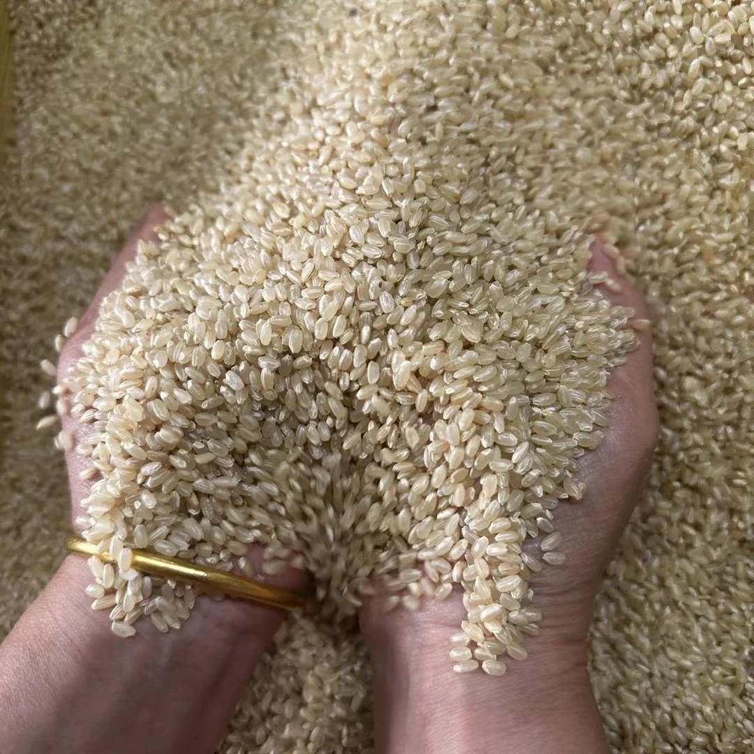 鸽用主粮糙米 赛鸽主粮