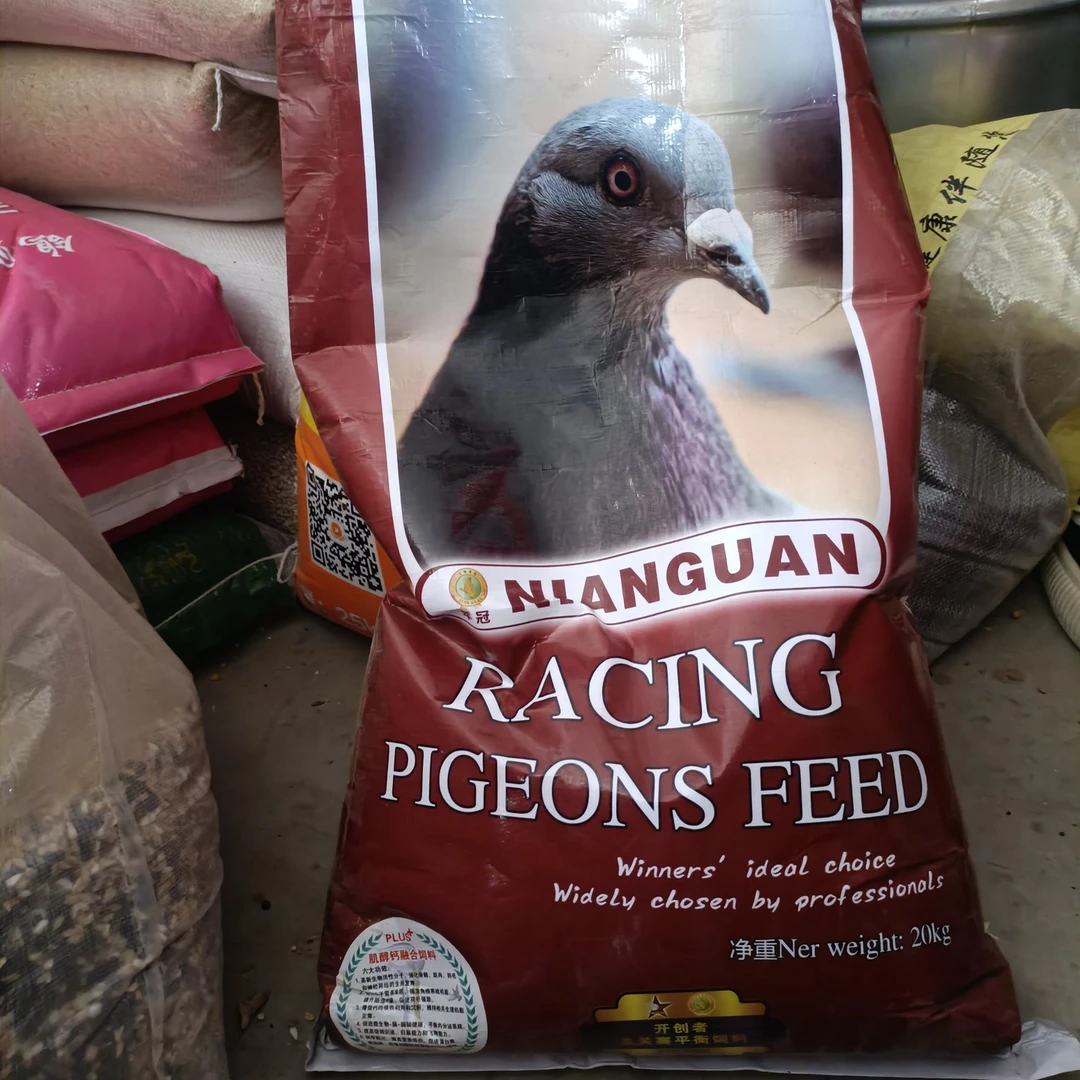 年冠基础粮鸽子粮食