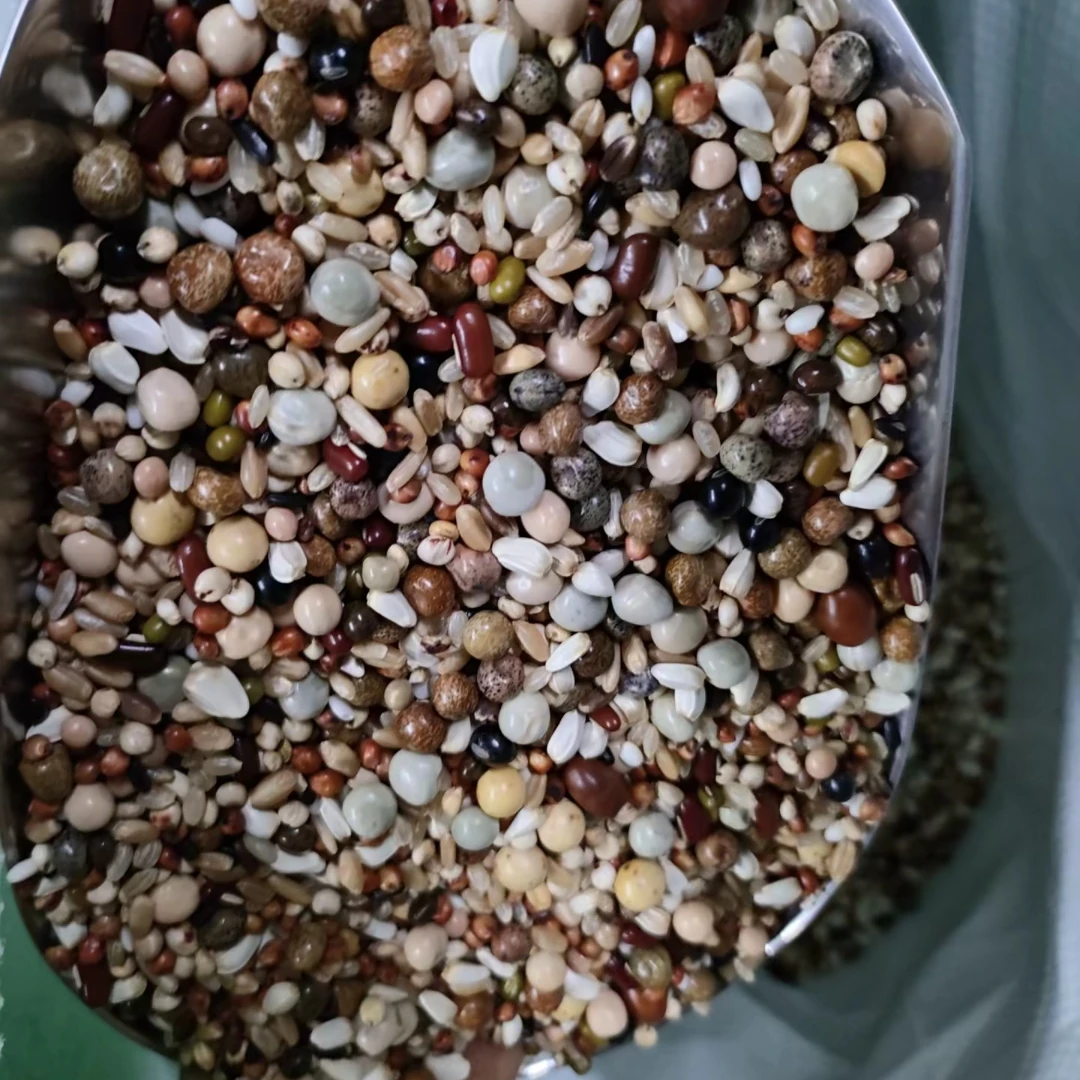 首佳上品超级幼鸽鸽粮