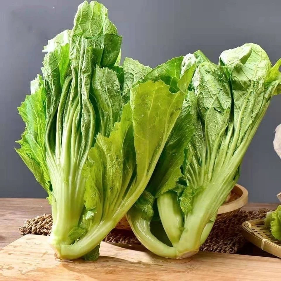 贵州当季现摘新鲜叶青菜