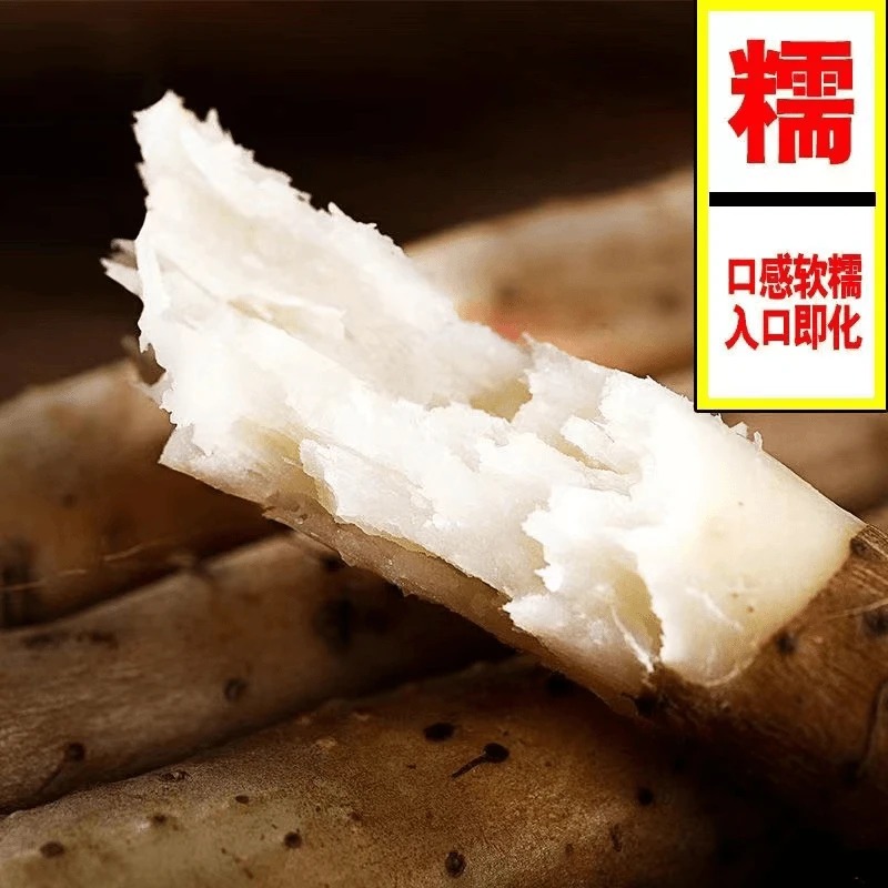 河南铁棍山药软糯香甜营养高场地直发带箱五斤原厂地直发