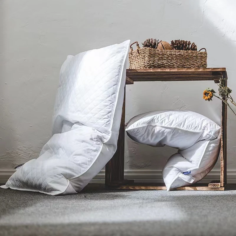 荞麦枕芯 纯荞麦枕 枕芯 48*74