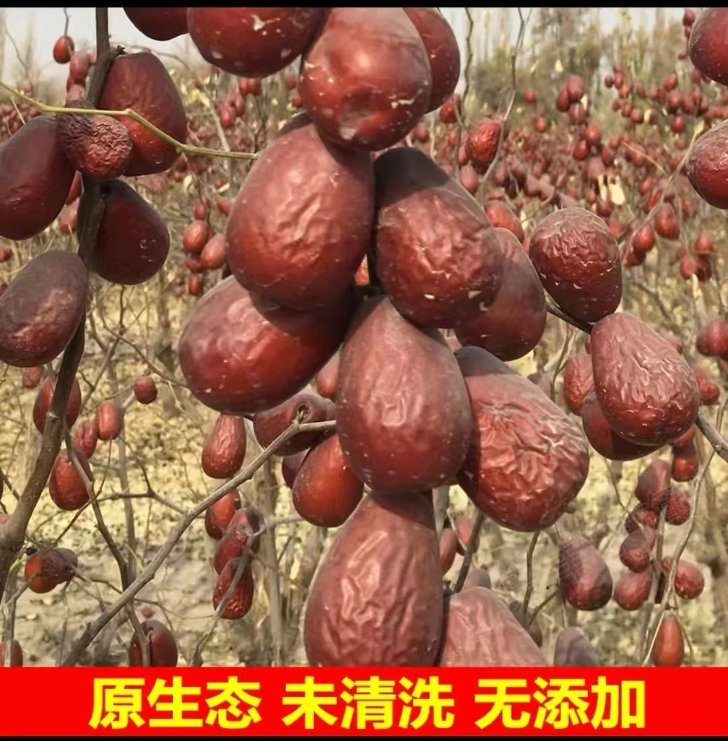 新疆原生态和田大枣纯特级5斤（8-10层干带土带沙新疆和田直发）
