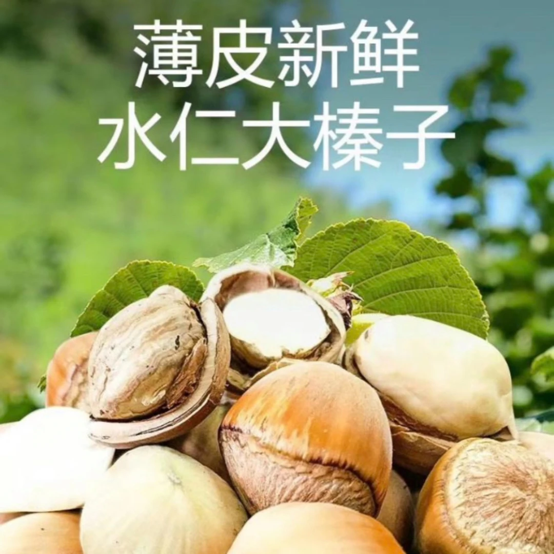 屯儿家去皮水仁大榛子1斤3斤和5斤