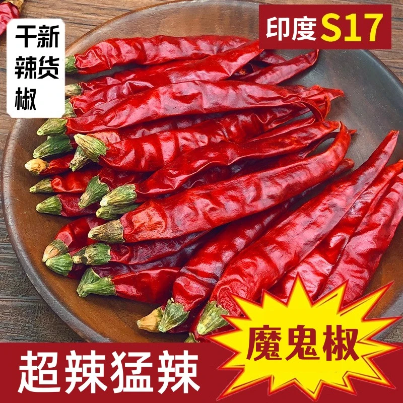 新货干辣椒特辣特香朝天椒贵州海椒印度魔鬼椒粉面辣椒段增香红油