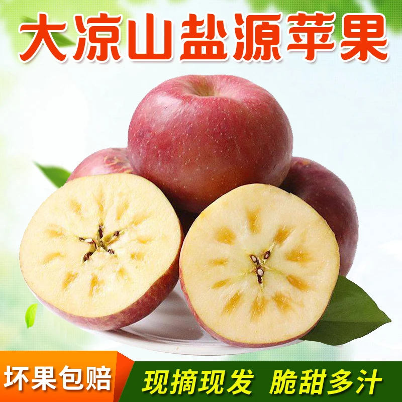 【李享专属】盐源苹果 净重8.5斤大果