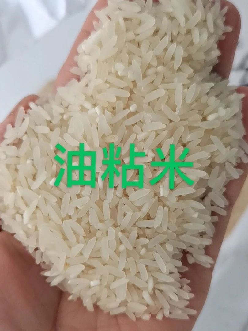 新米农家二造油粘无抛光无打蜡无添加 现磨发 省内包邮10/30/50斤