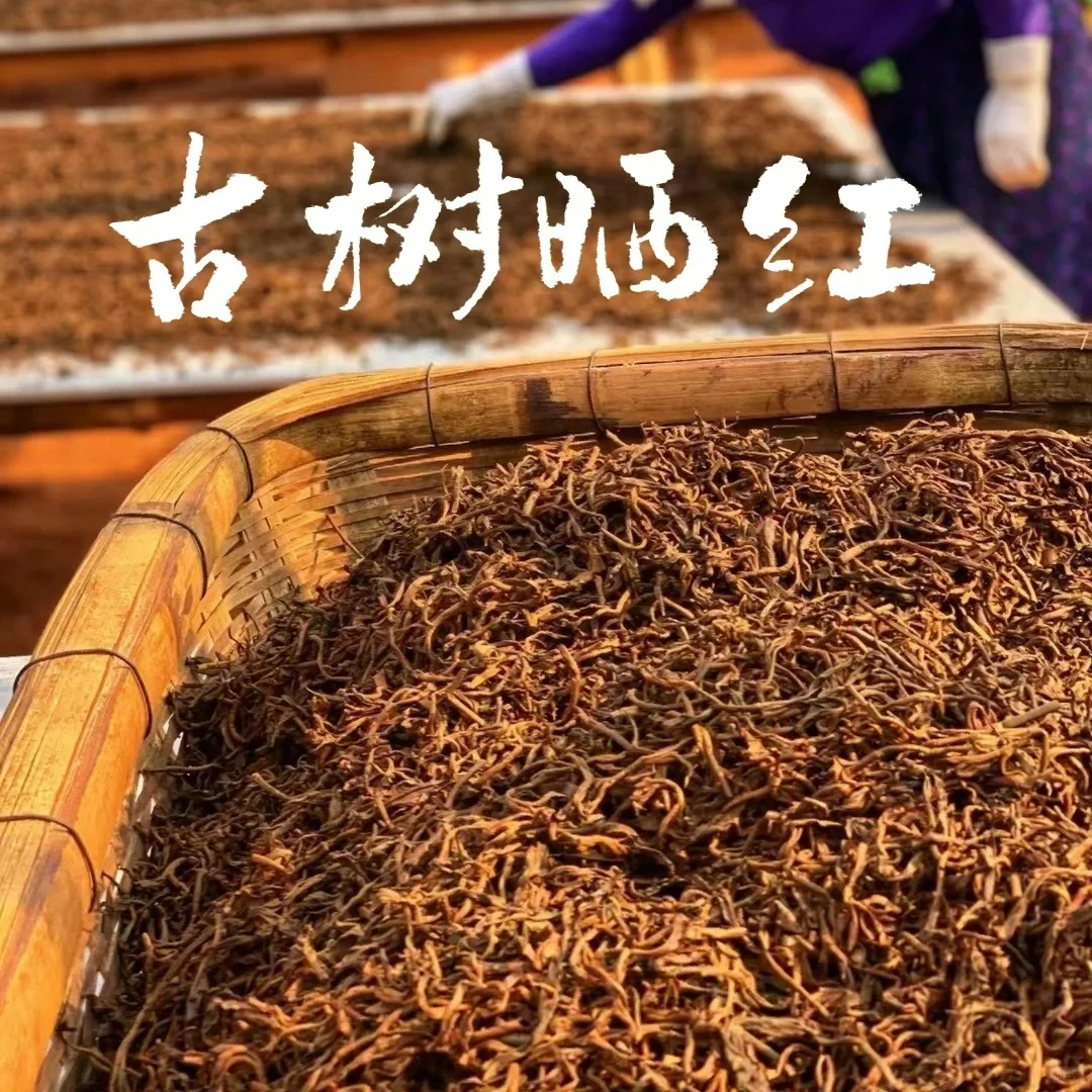 临沧自家古树红茶 滇红茶晒红 柔润 花香 阳光晒出来的红茶