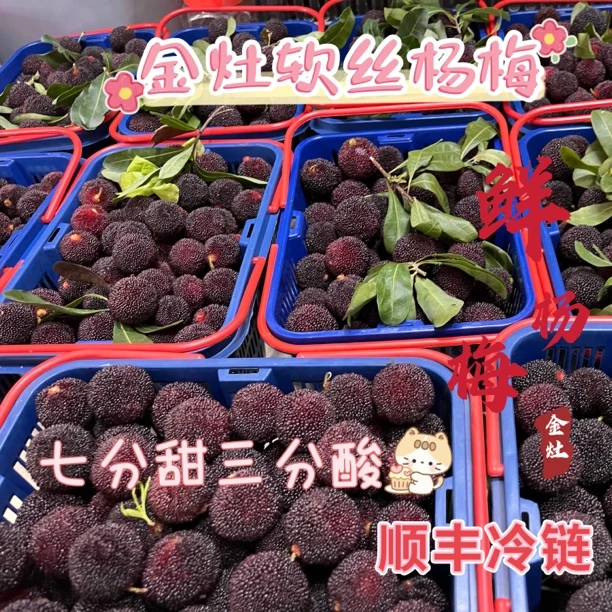 金灶杨梅软丝杨梅红梅现摘4斤发顺丰冷链次日达