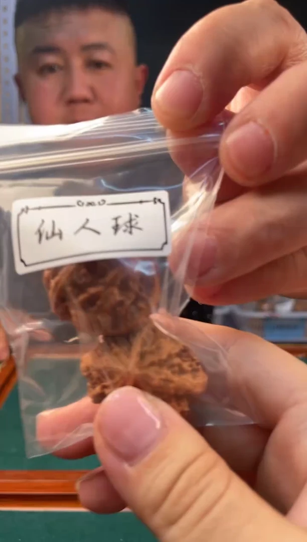 【闪购商品】文玩核桃把件秋子仙人球