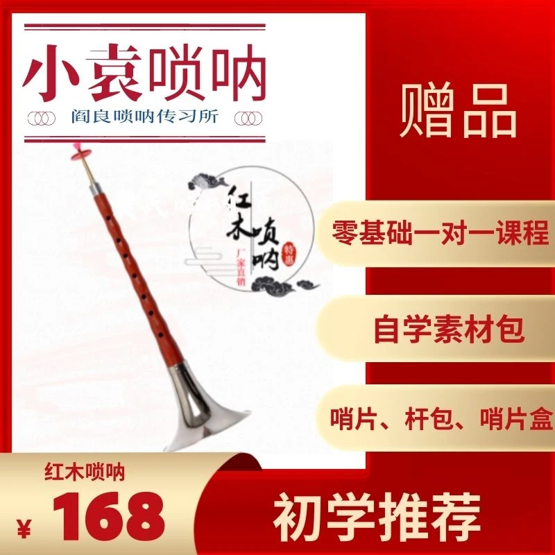 唢呐乐器红木唢呐初学者专业演奏型专业唢呐