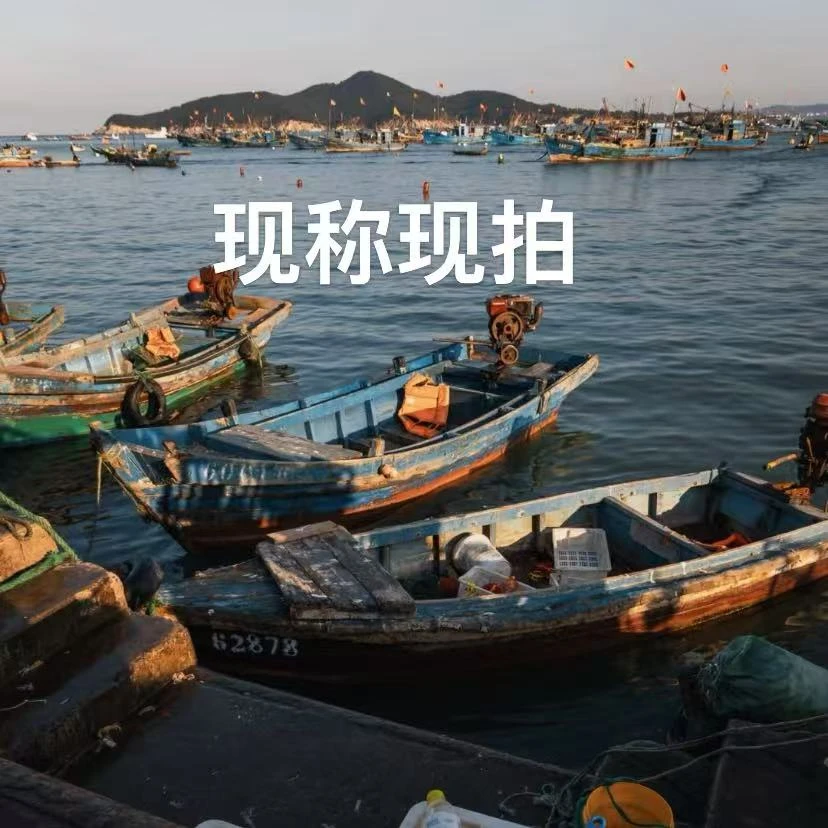 新鲜小小下下谢谢谢