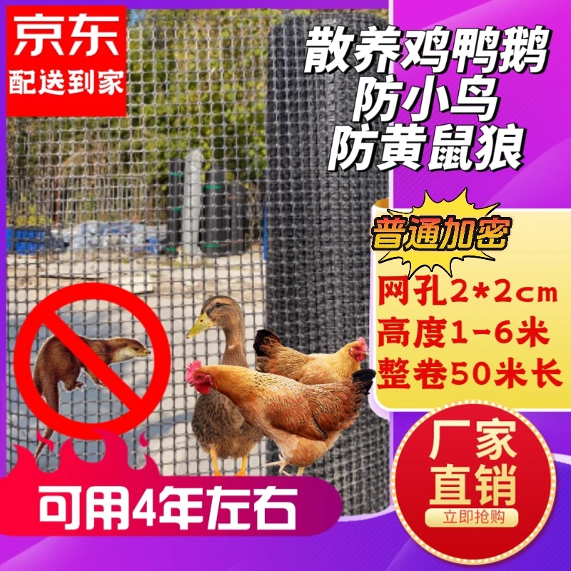 [小孔普通]2*2孔防黄鼠狼防小鸟养鸡鸭鹅新型大小塑料养殖网农业