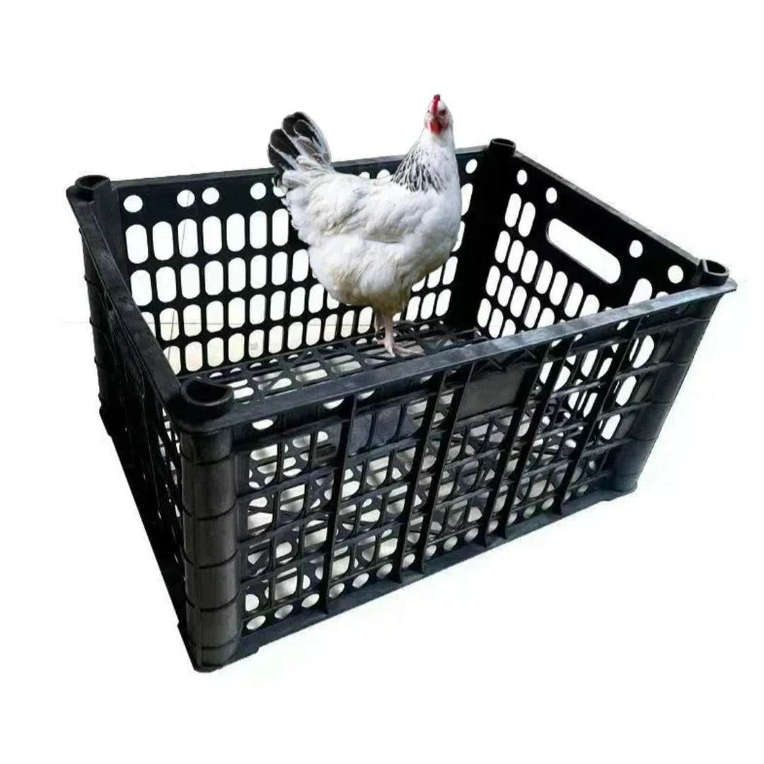 【黑芦花鸡】宠物笼子可装10只抗压抗摔
