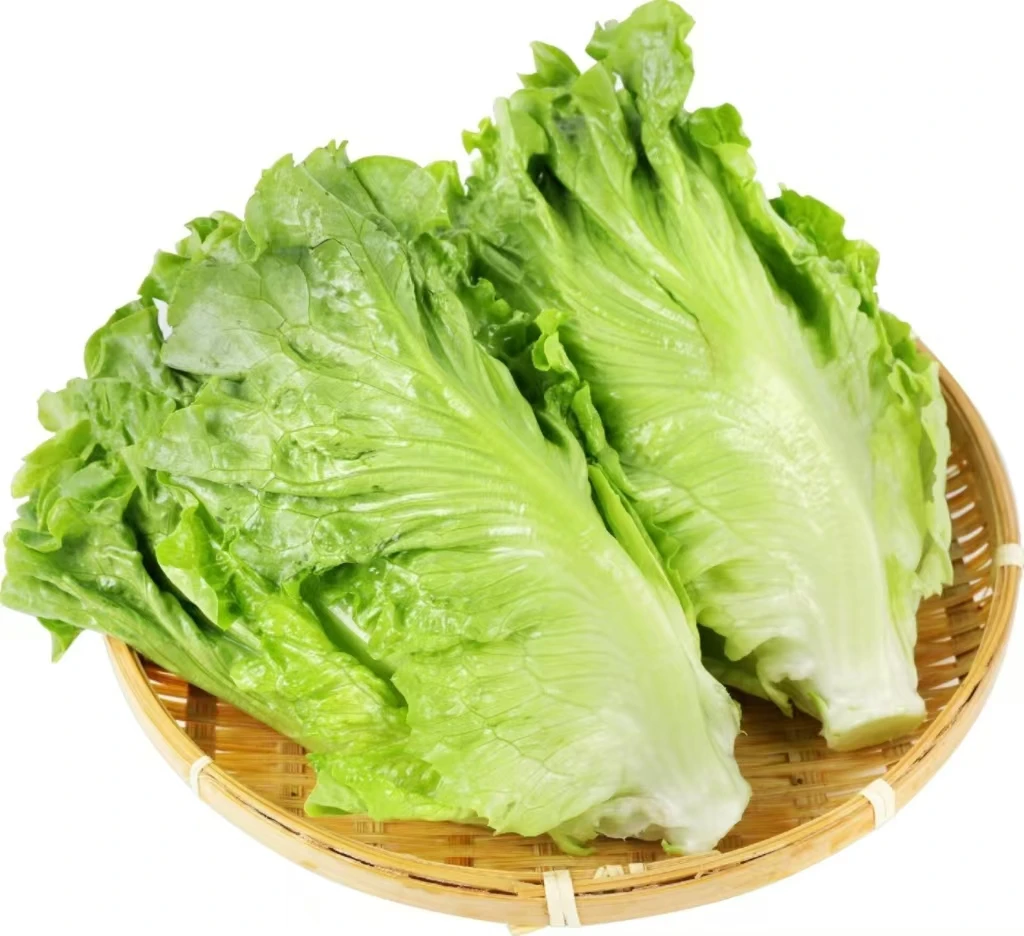 生菜约500g