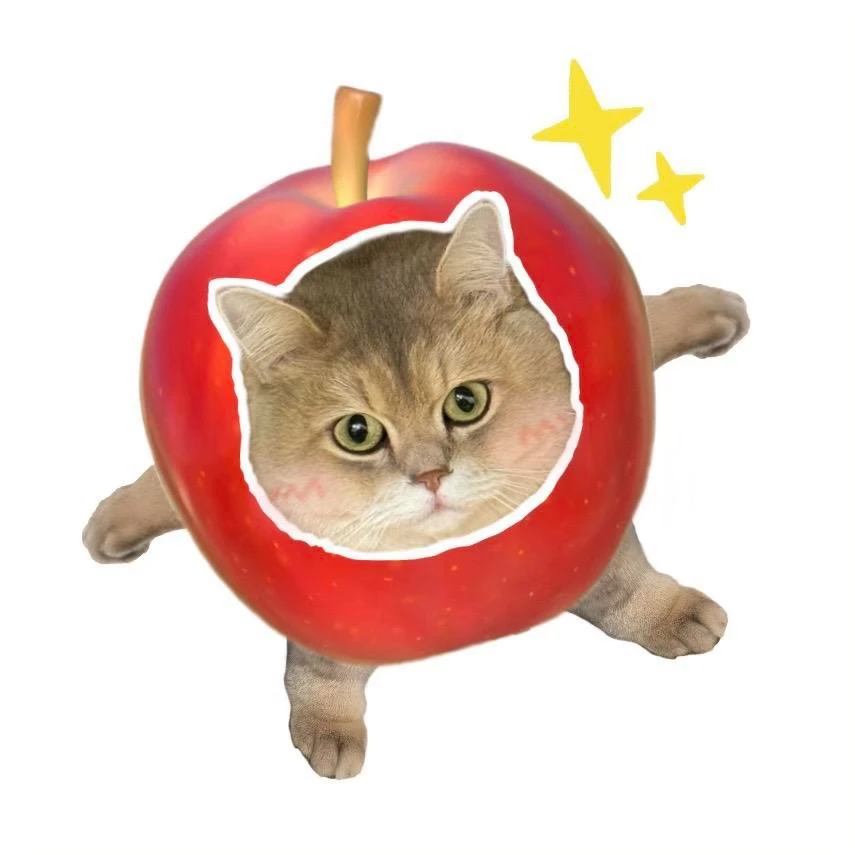 【补款链接】MIkko全彩页硬壳本活页本磁吸本拍纸本文件袋贴纸拼装