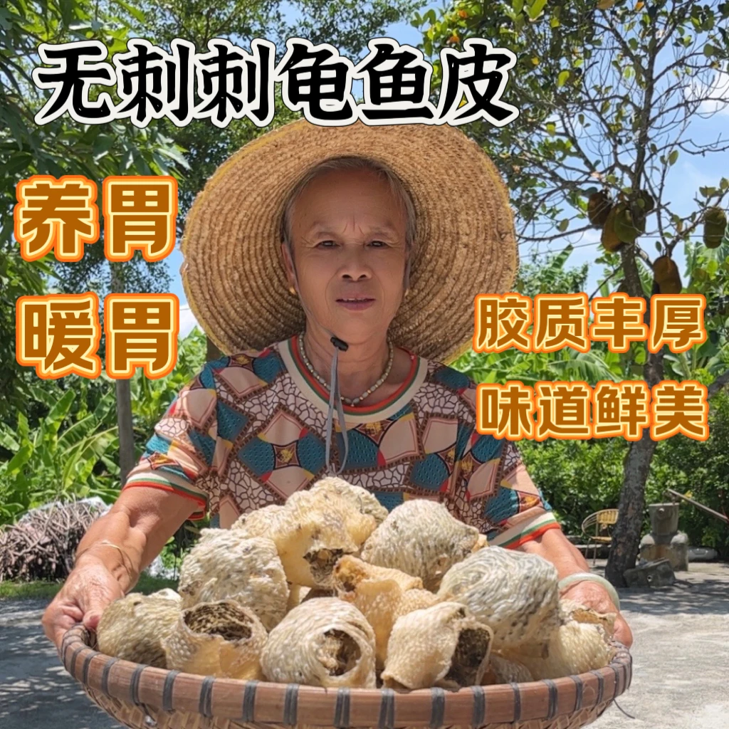 天然大号刺龟鱼皮刺龟皮海胆皮刺豚皮海刺海产干货煲汤滋补原味