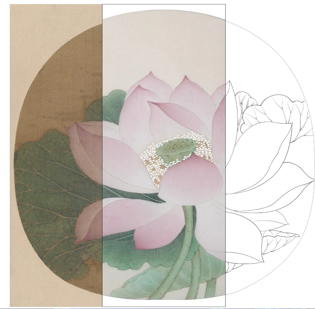 临《出水芙蓉图》纸质底稿,尺寸28*28cm,包含上色步骤视频图文 。