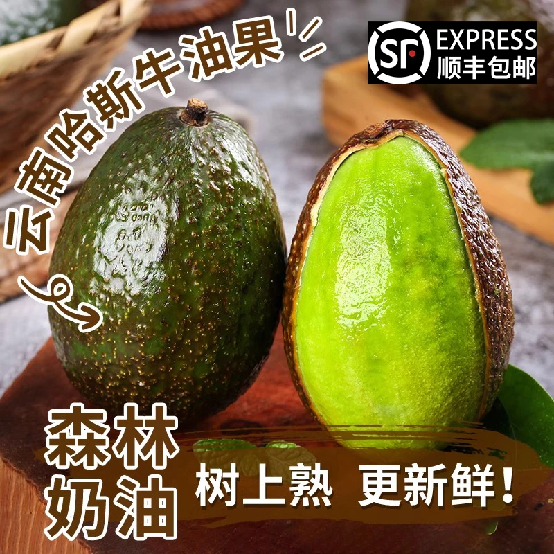 云南哈斯牛油果当季水果孕妇宝宝健康轻食营养实惠装