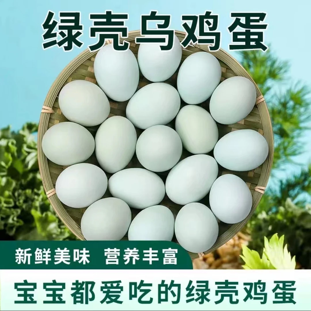 绿壳蛋土鸡蛋新鲜乌鸡蛋农家散养柴鸡蛋正宗虫草月子早餐蛋