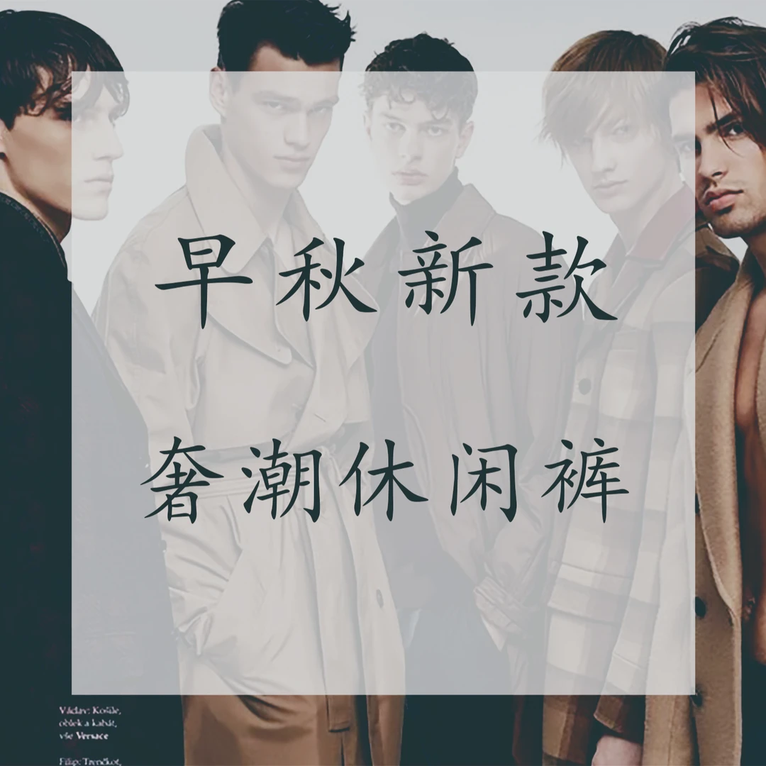 DD 23年秋冬新款轻奢高定时尚百搭加厚休闲裤3303