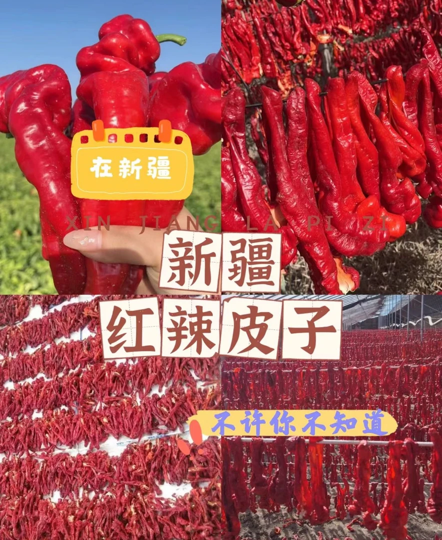 新疆焉耆红辣椒肉辣皮子安集海线椒肉厚香甜微辣老人小孩都可以吃