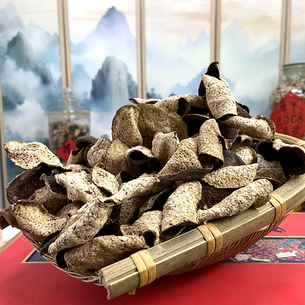 【重磅出仓】新会陈皮2008年东甲圈枝冬后大红皮纯干仓储存自然生晒