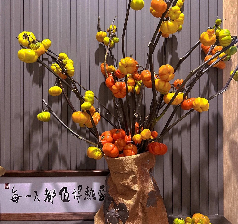 Shenxian～可可爱爱的小南瓜 可做干花