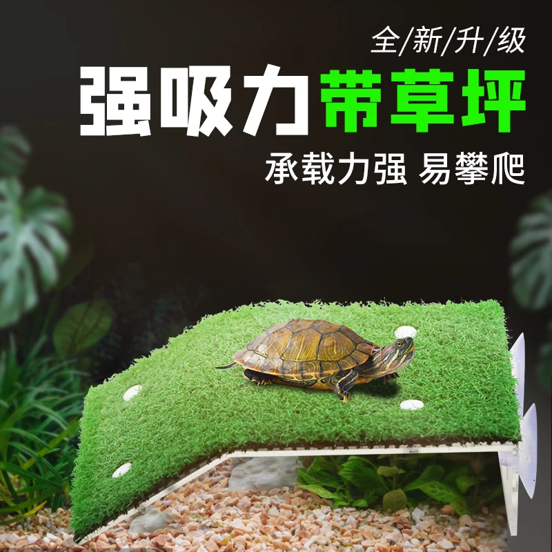 乌龟晒台爬台鱼缸龟缸爬坡亚克力吸盘高水位休息深水浮岛晒背浮台