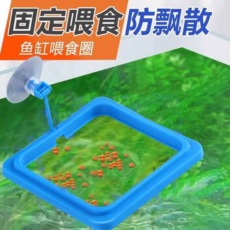 鱼缸喂食器喂鱼神器孔雀鱼漂浮喂食圈丰年虾投食器鱼食投喂器