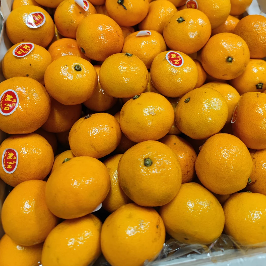 【散称】新鲜的小蜜桔  7斤 仅大同市平城区云冈区可拍