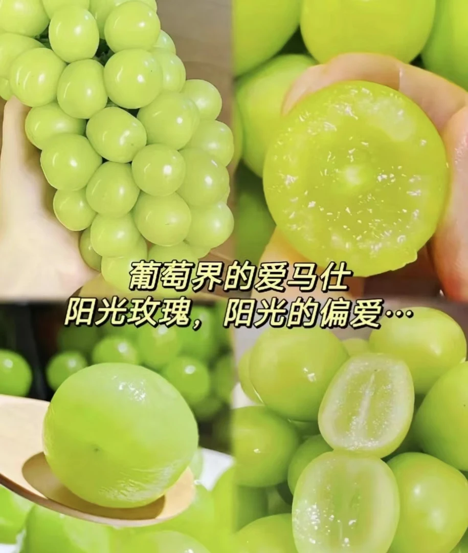 【1框】香甜阳光玫瑰 带框9斤 大同市平城云冈区可拍