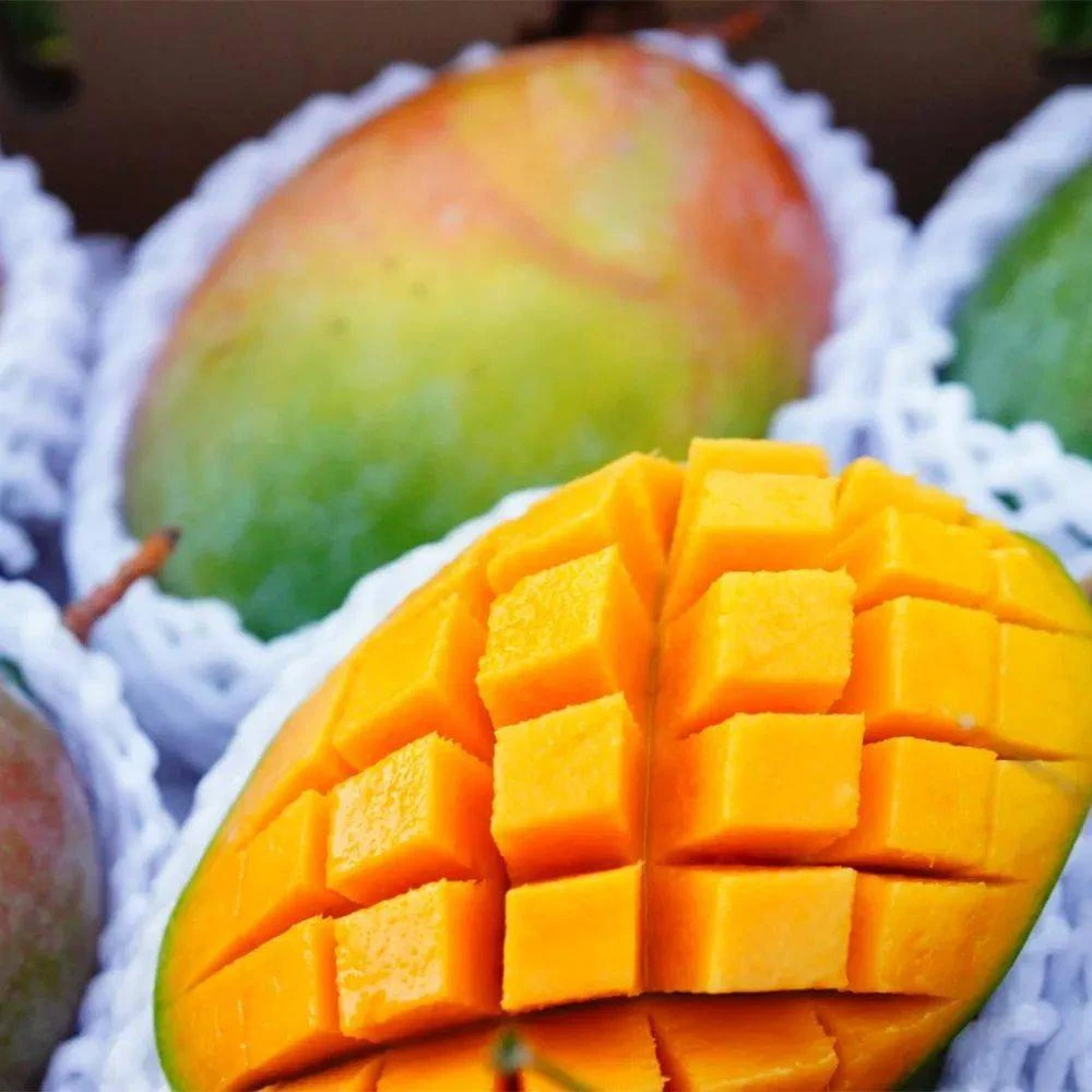 【散称】凯特芒4.5-5斤（养软再吃） 大同市平城区 云冈区 可拍