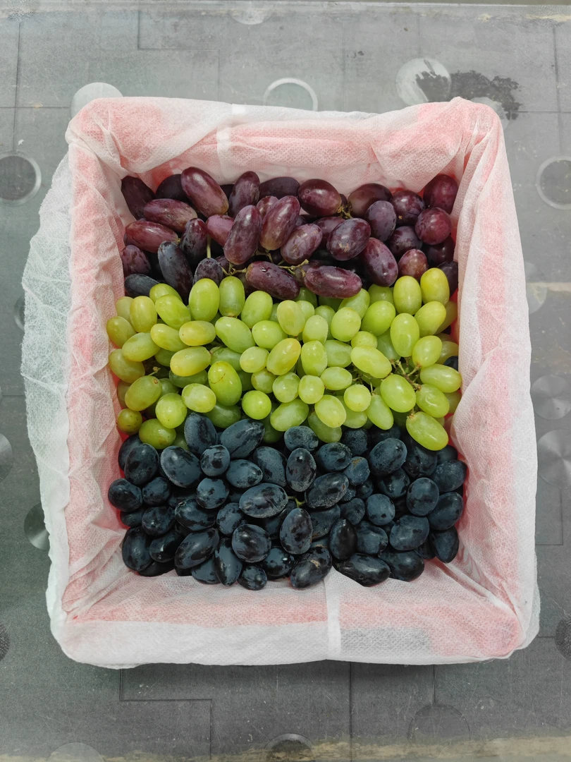 【1框】新鲜的新疆三色葡萄   带框4.5-5斤  仅大同市平城区可拍